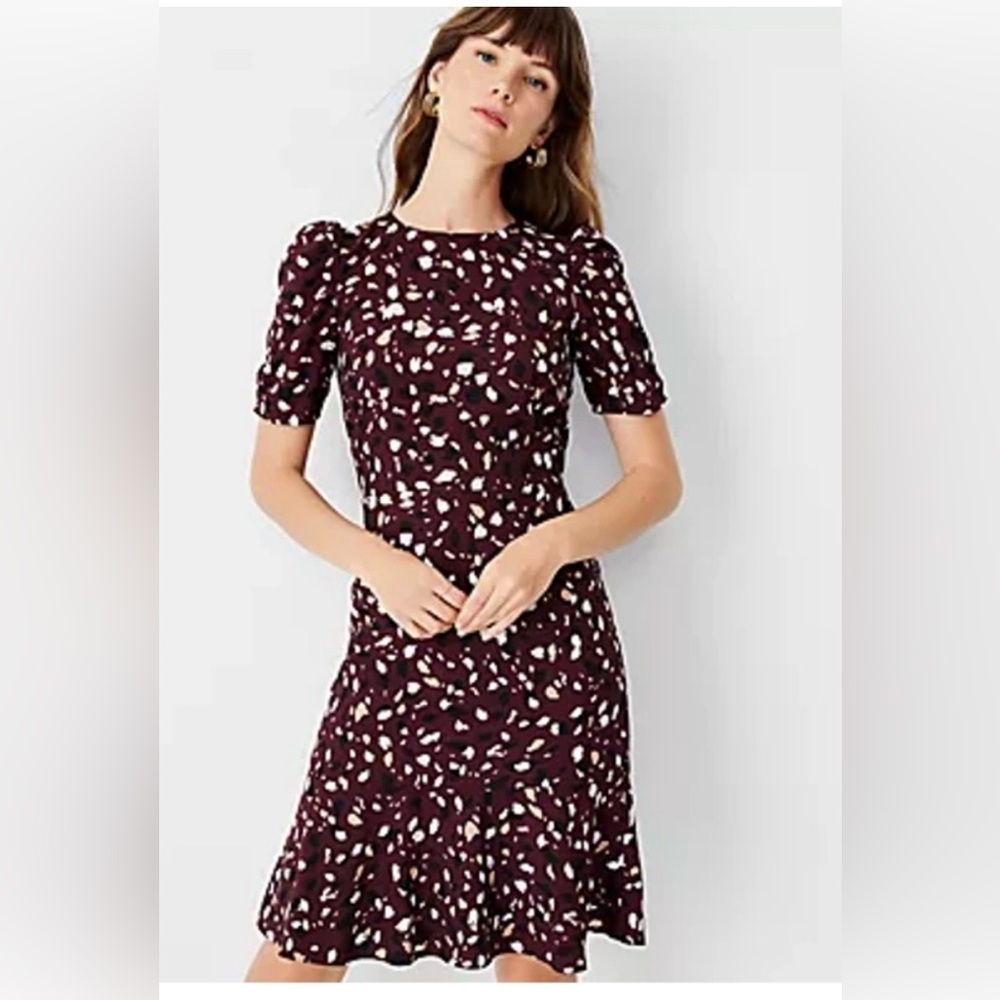 Ann Taylor Purple and White Dress